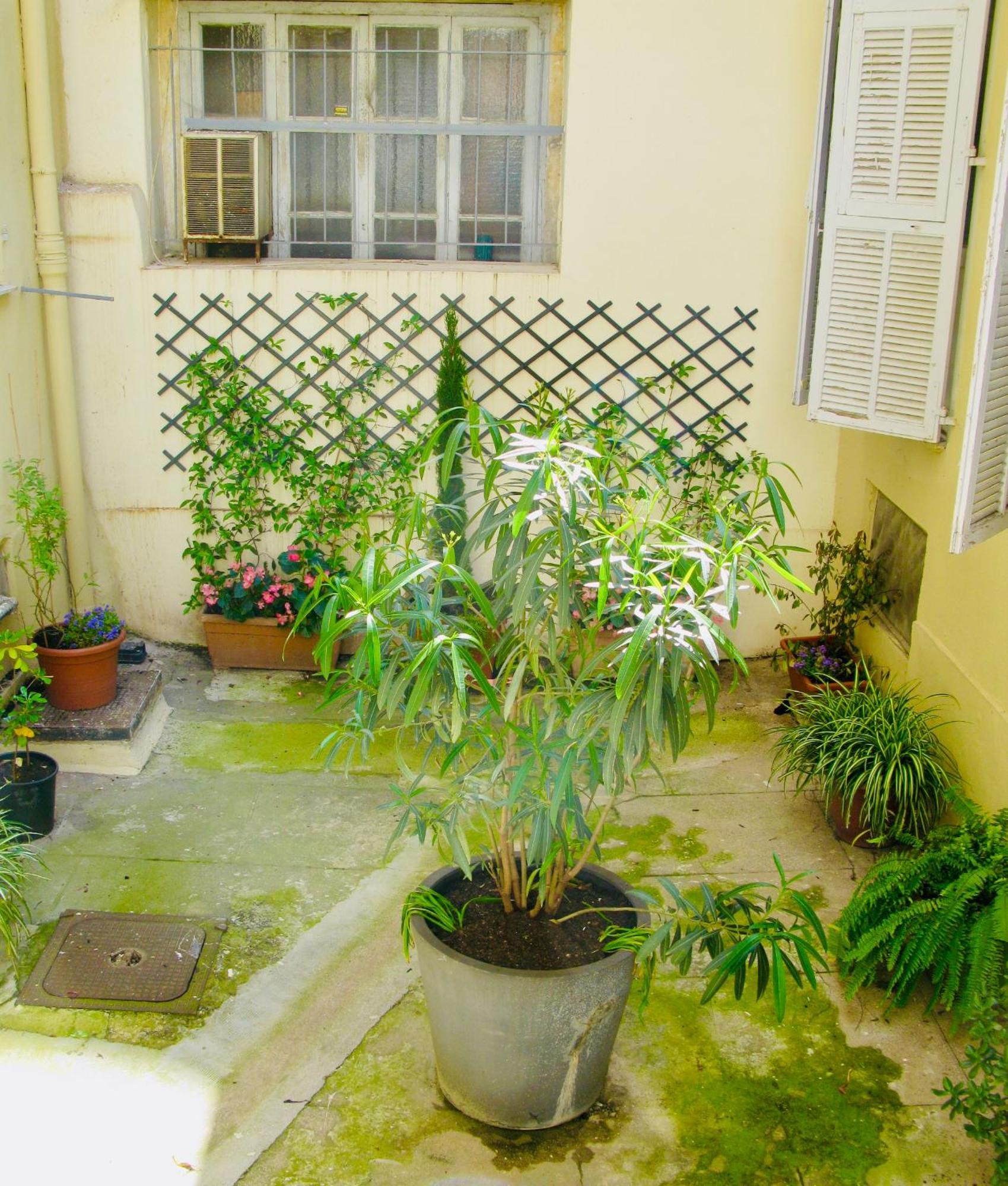 Place Wilson Nice Ngoại thất bức ảnh